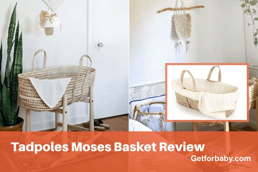 Tadpoles Moses Basket Review