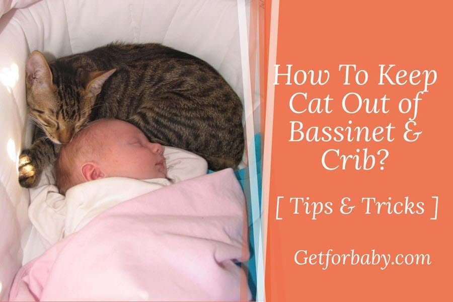 How To Keep Cat Out of Bassinet & Crib