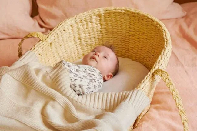 What Is A Moses Basket How To Safely Incline a Bassinet not more than 10 degree